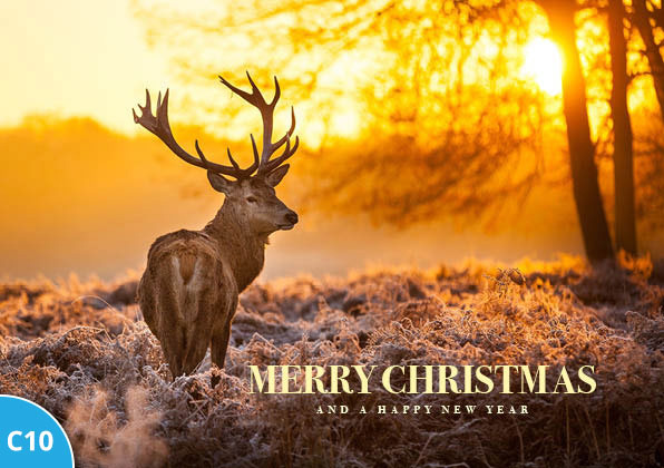 Personalised Christmas Card Design 10