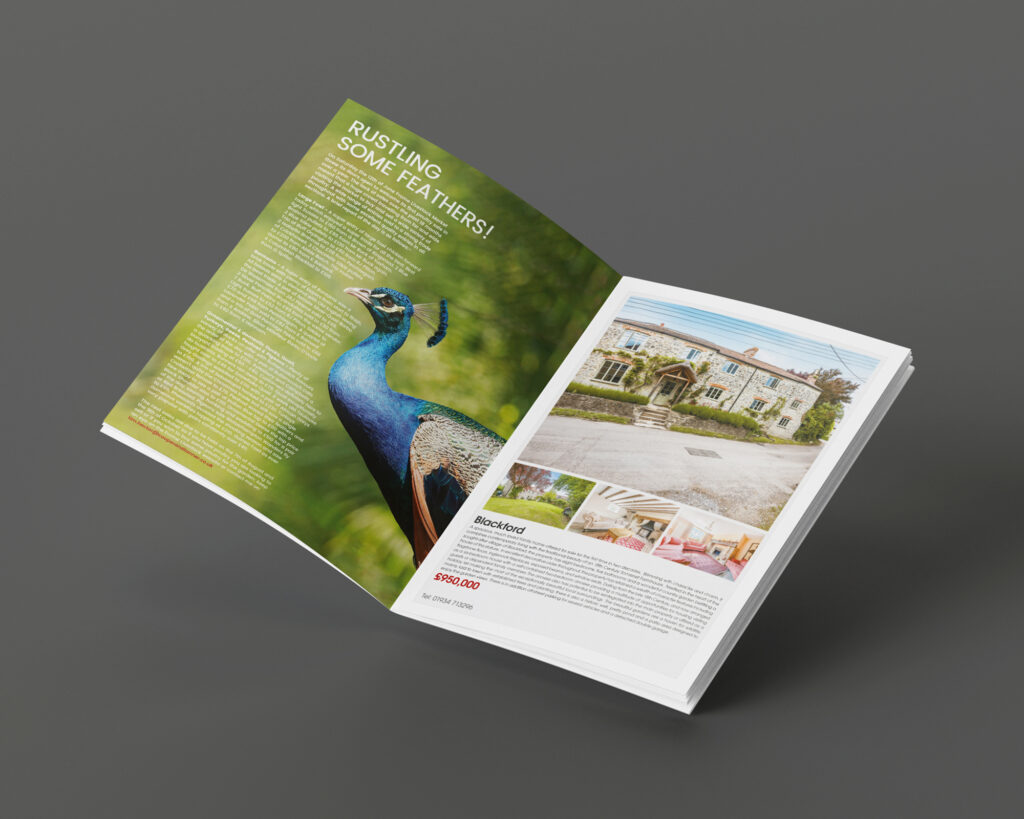 CaseStudy-CT-Newspaper12